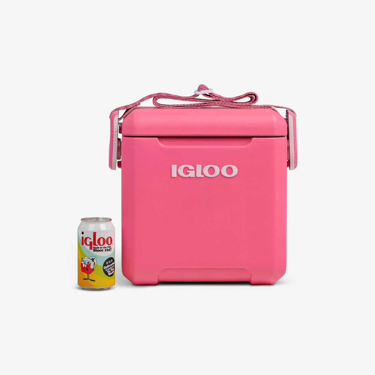 tag-along-too-remix-cooler-f8 00033199-P_861a5cd2-f15c-4217-a471-e33cc3890d9e.jpg