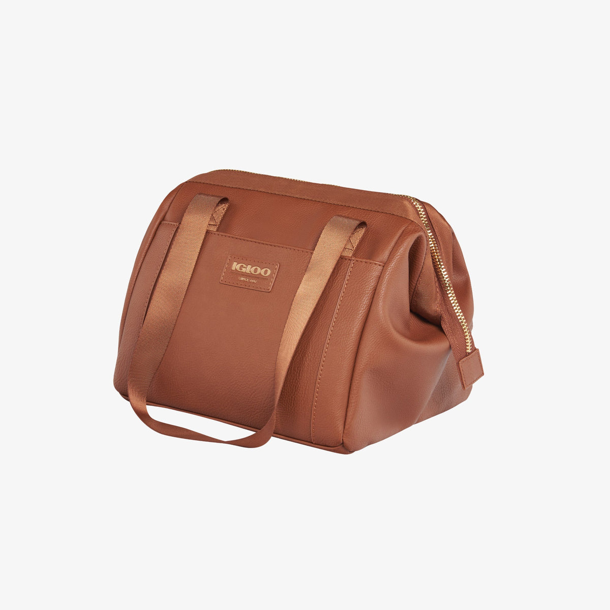 igloo-luxe-lunch-tote-cooler-bag-p6 00061160_2.jpg