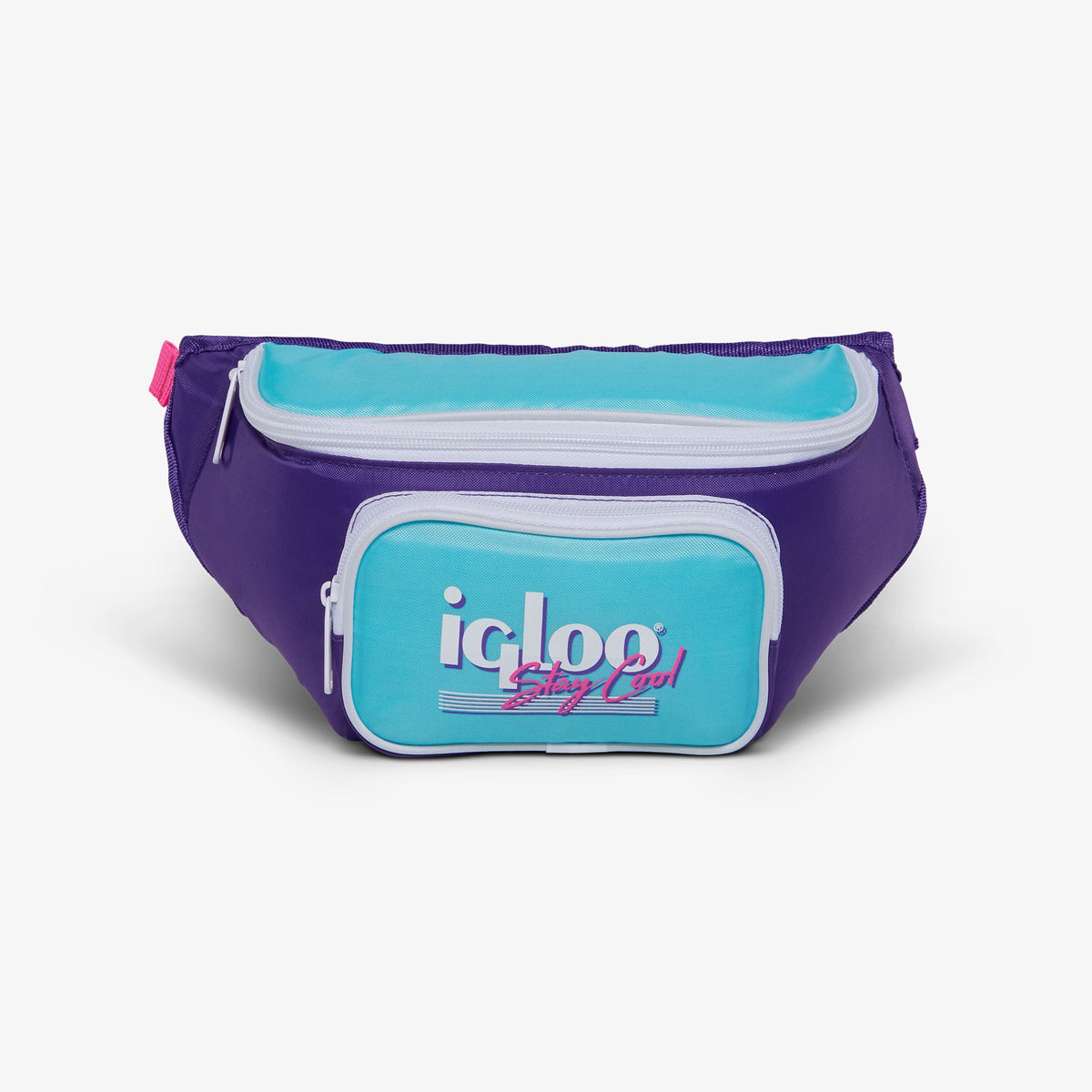 retro-fanny-pack-g8 00066056-F.jpg