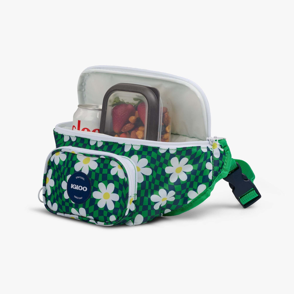 retro-fanny-pack-g8 00067206-P1.jpg