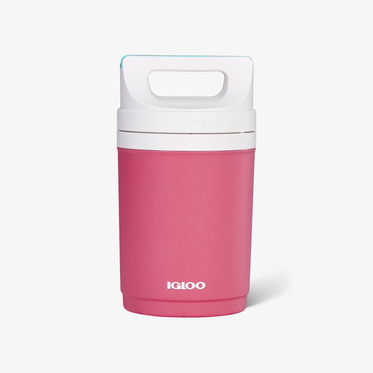 retro-playmate-half-gallon-jug-a0 00070862-F.jpg