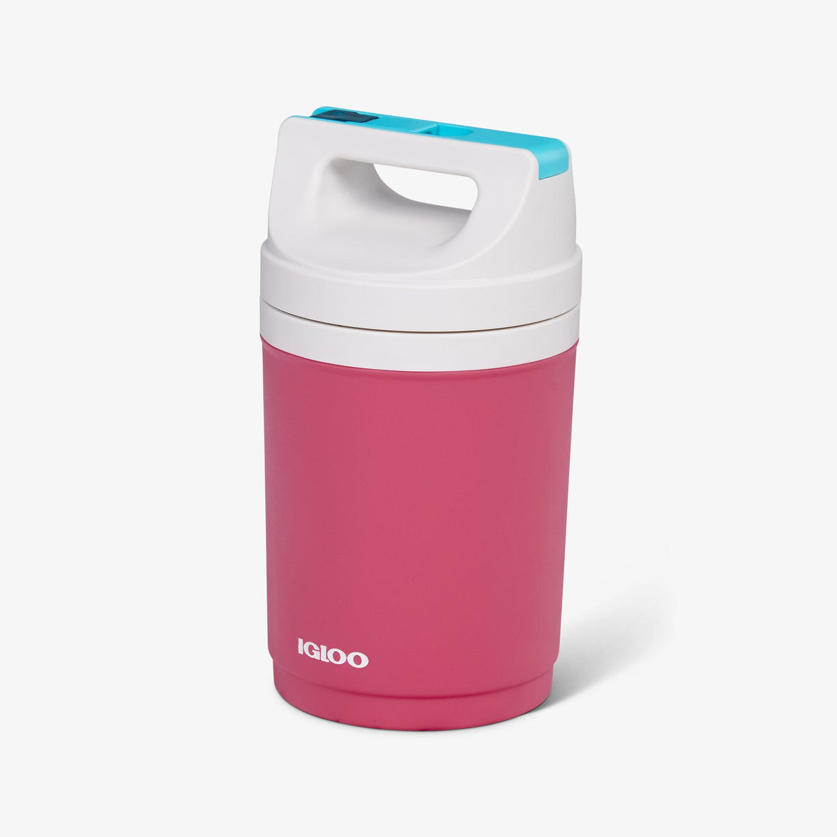 retro-playmate-half-gallon-jug-a0 00070862-H1.jpg